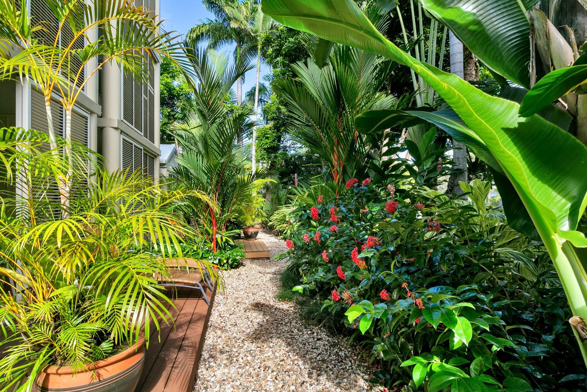 Port Douglas Apartments - Adults Only Oasis Εξωτερικό φωτογραφία